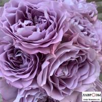Лавендер Букет/ Lavender Bouquet